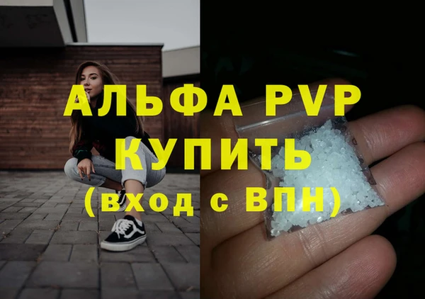 крисы Вязьма