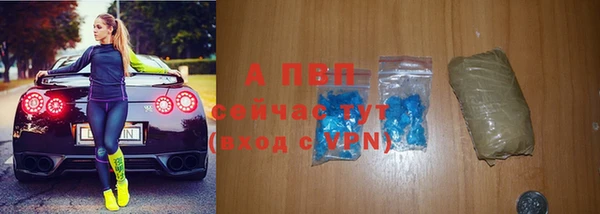 крисы Вязьма