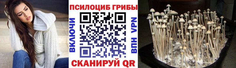 Псилоцибиновые грибы Psilocybe  hydra зеркало  Гуково 