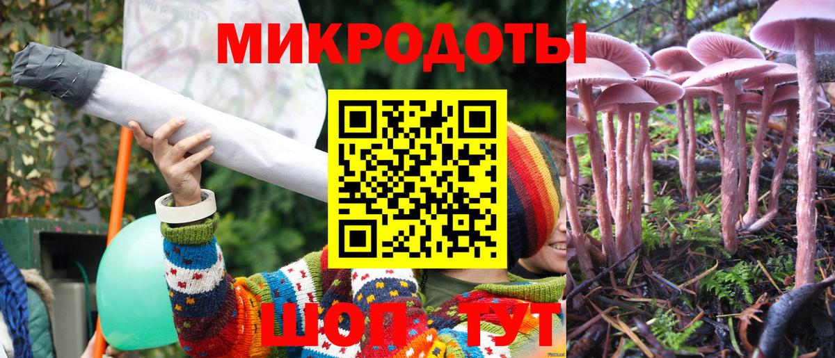 Галлюциногенные грибы Psilocybine cubensis  магазин  наркотиков  Гуково 