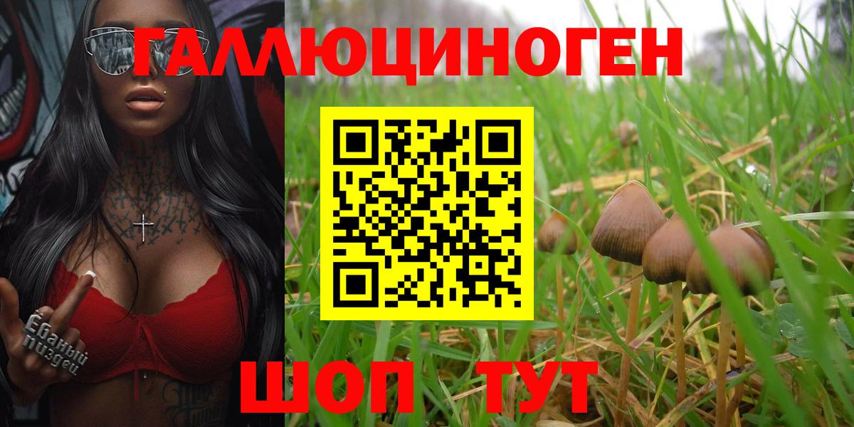 Галлюциногенные грибы Psilocybine cubensis Гуково