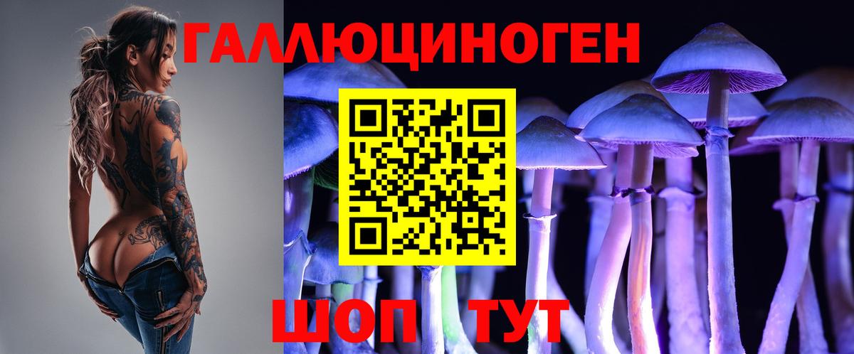 Галлюциногенные грибы прущие грибы  Вход с VPN  Гуково 