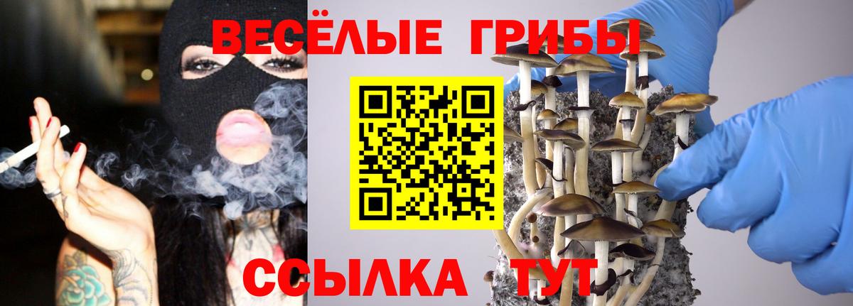 Галлюциногенные грибы мухоморы Гуково