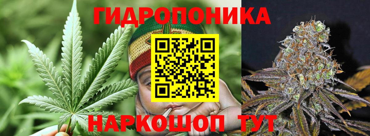 Бошки марихуана AK-47  Вход с VPN  Гуково  Бошки марихуана план  МАРИХУАНА Bruce Banner  Шишки марихуана тримм 